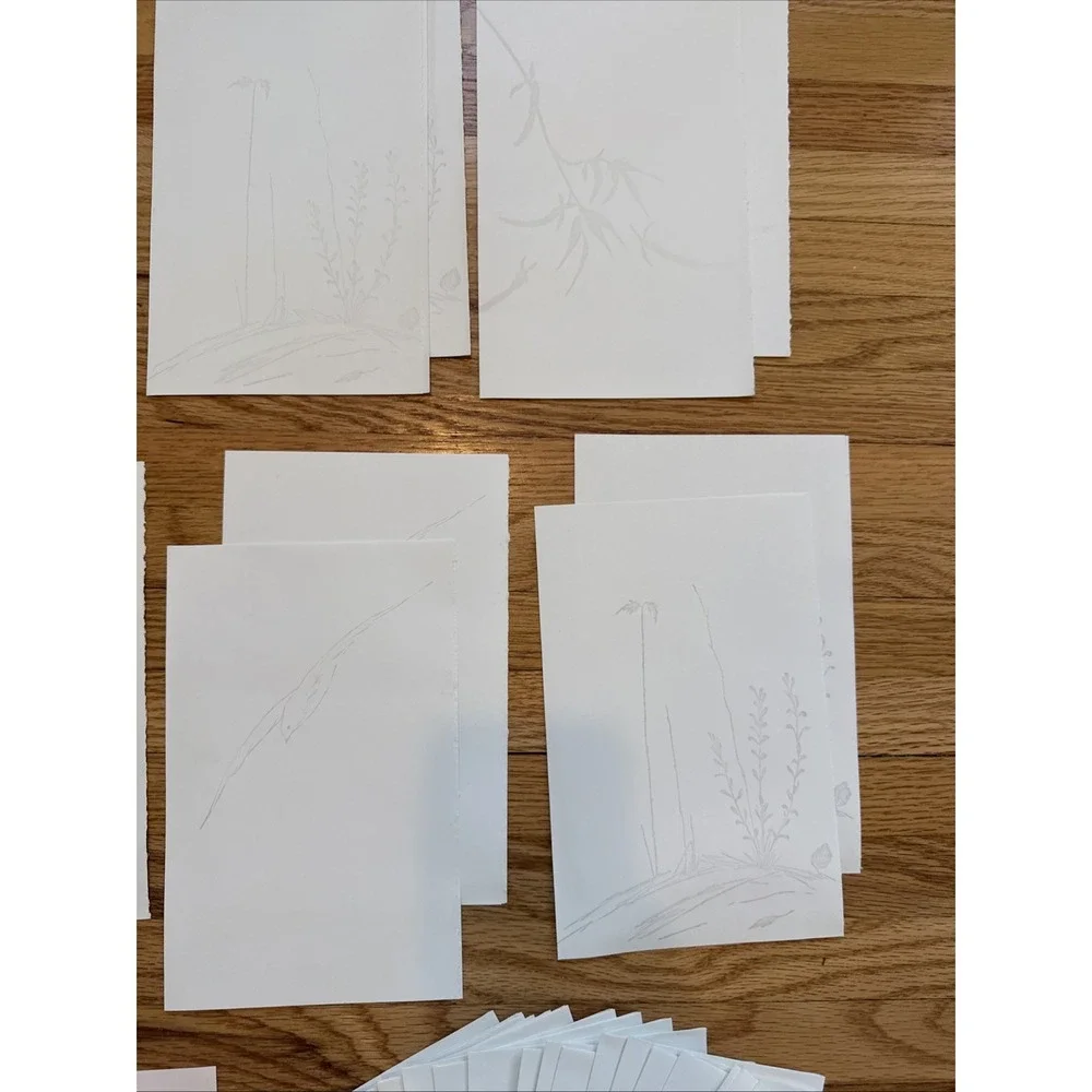 Sarah Gwen Frostic 20 Blank 2sided Cards Block Prints envelopes original package